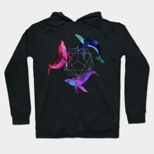 space whale Hoodie